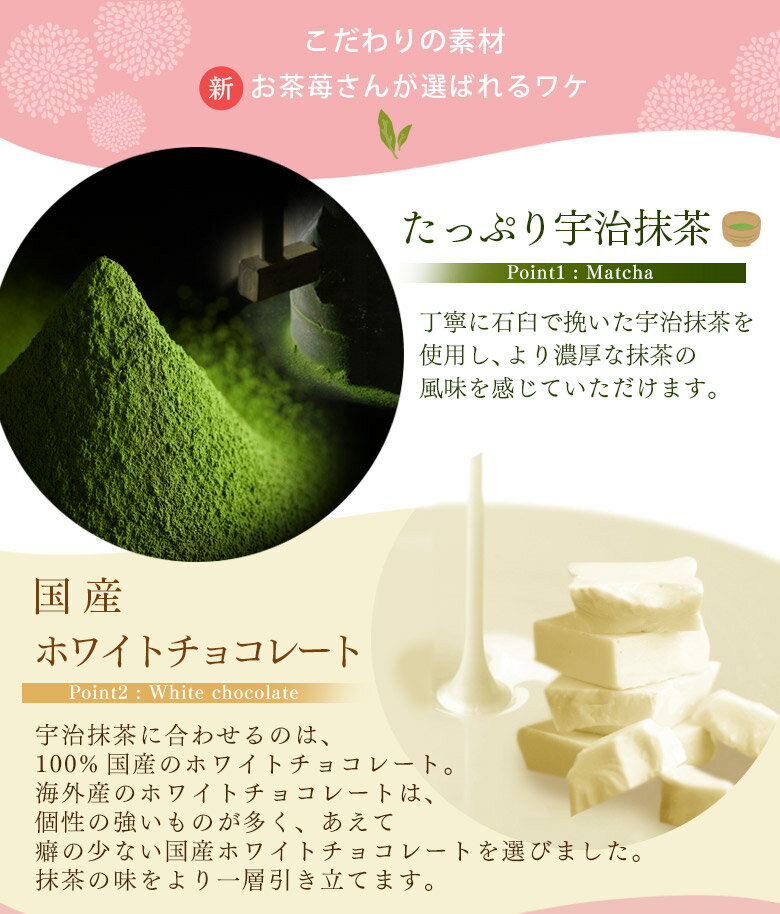 宇治抹茶いちごチョコレートトリュフ お茶苺さん 70g § ストロベリーチョコ 苺 トリュフ とりゅふ イチゴ おちゃめさん 090236  095356 | 伊藤久右衛門 公式オンラインショップ