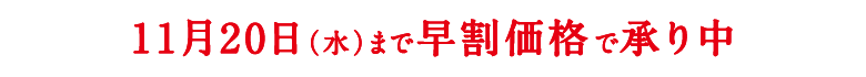 11/20まで早割価格で承り中！